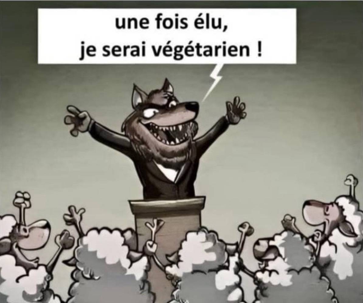 Capture d’écran . 2024-06-08 à 08.05.58.jpeg