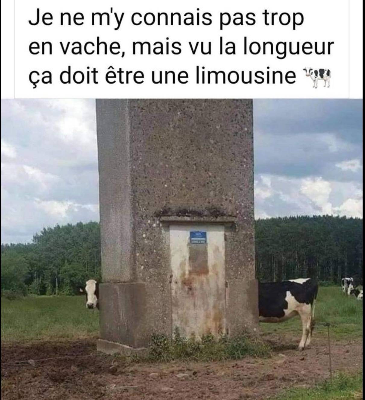 Capture d’écran . 2024-08-24 à 15.05.29.jpeg