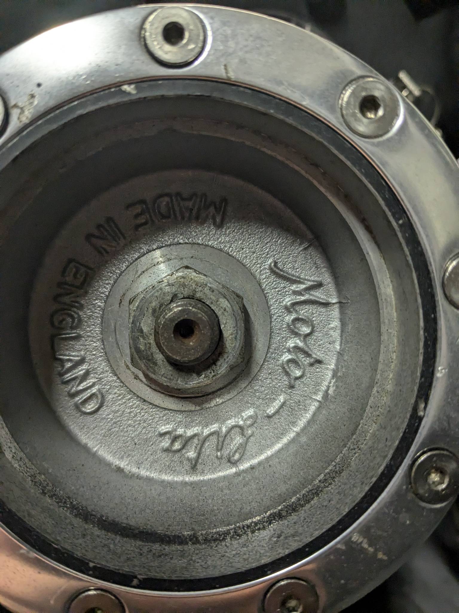 PXL_20250203_193237796.jpg