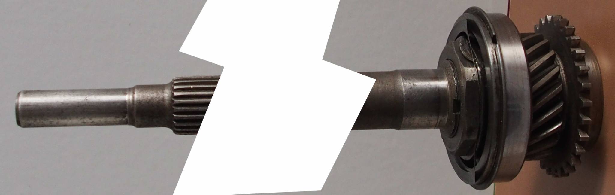 Arbre entrée début.JPG