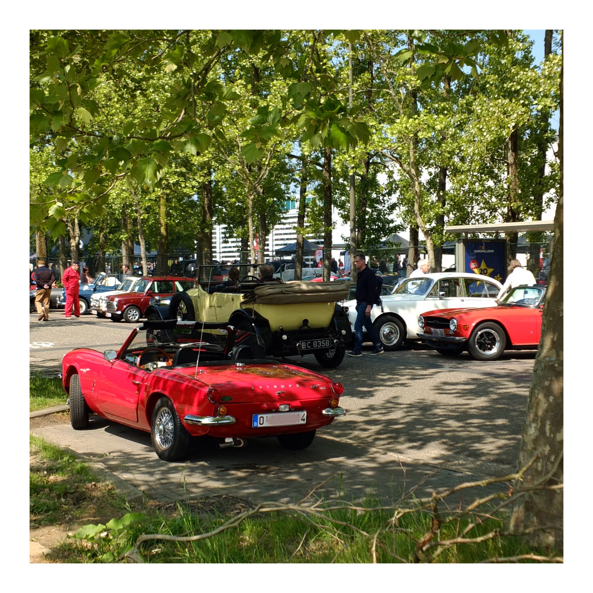Angloparts British Cars Day 2025 04 26 41.jpg