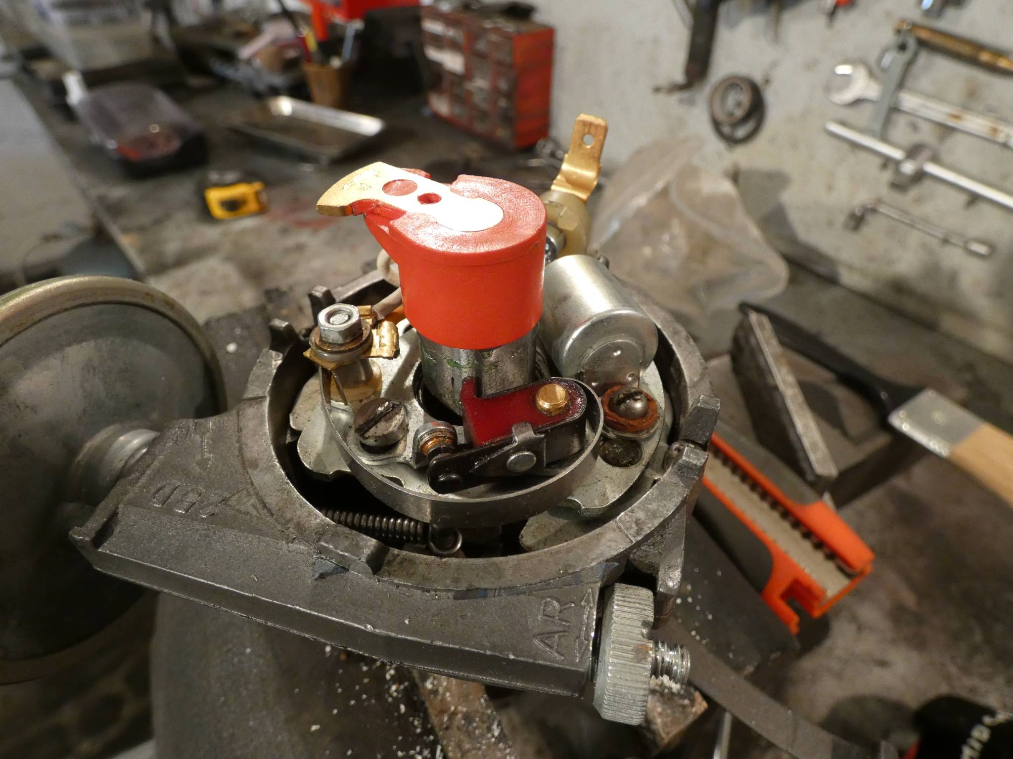 P1000550.JPG