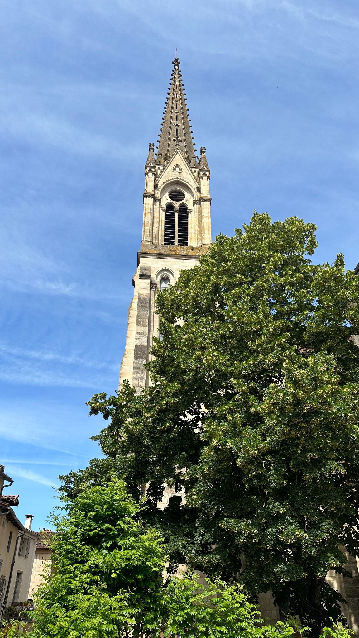 IMG_5078.jpeg