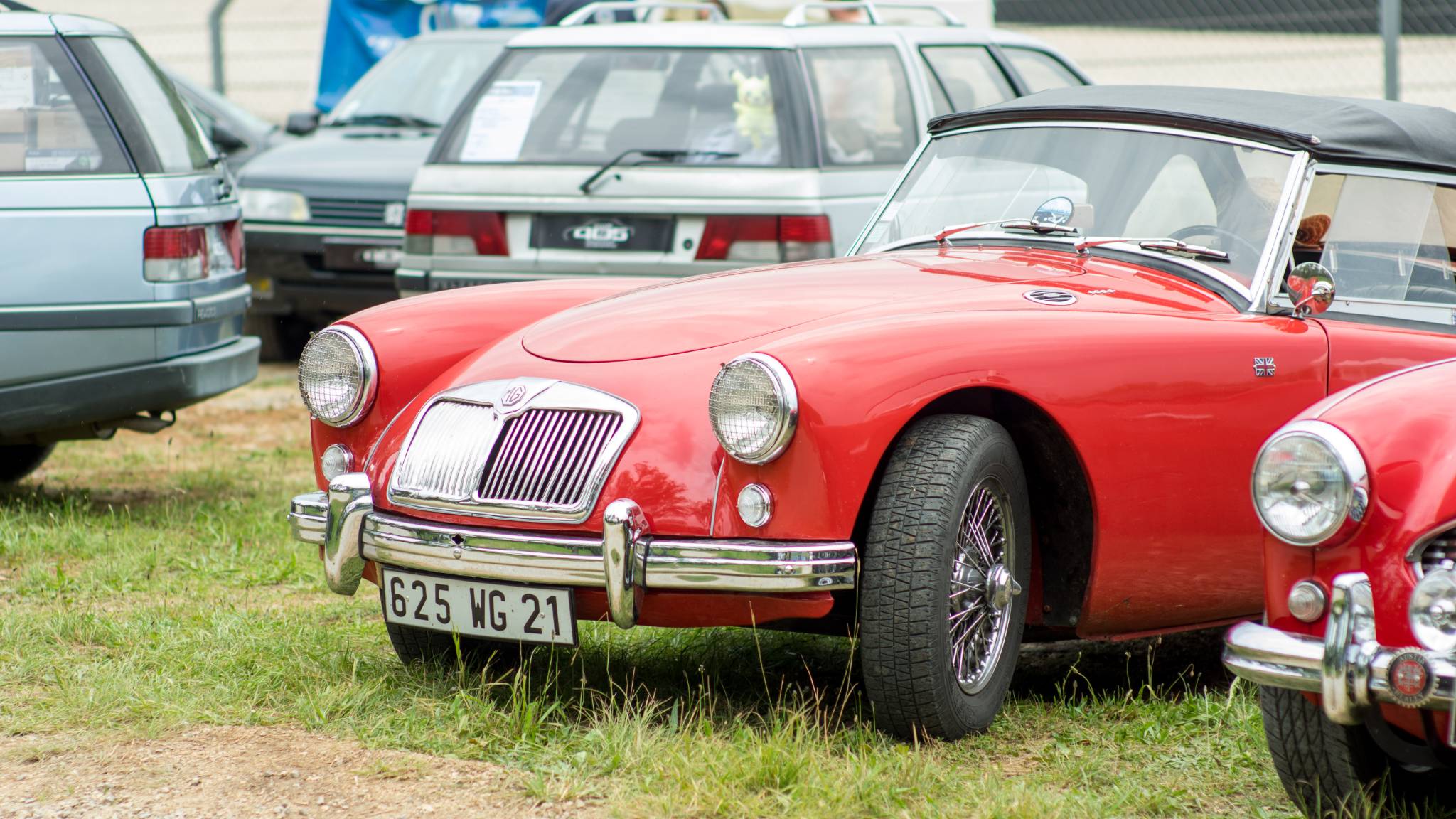 IMGP3948.jpg