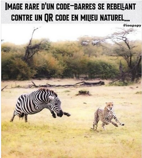 Capture d’écran 2024-06-26 à 07.41.31.png