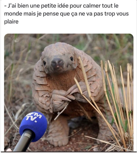Capture d’écran 2024-07-03 à 07.57.12.png