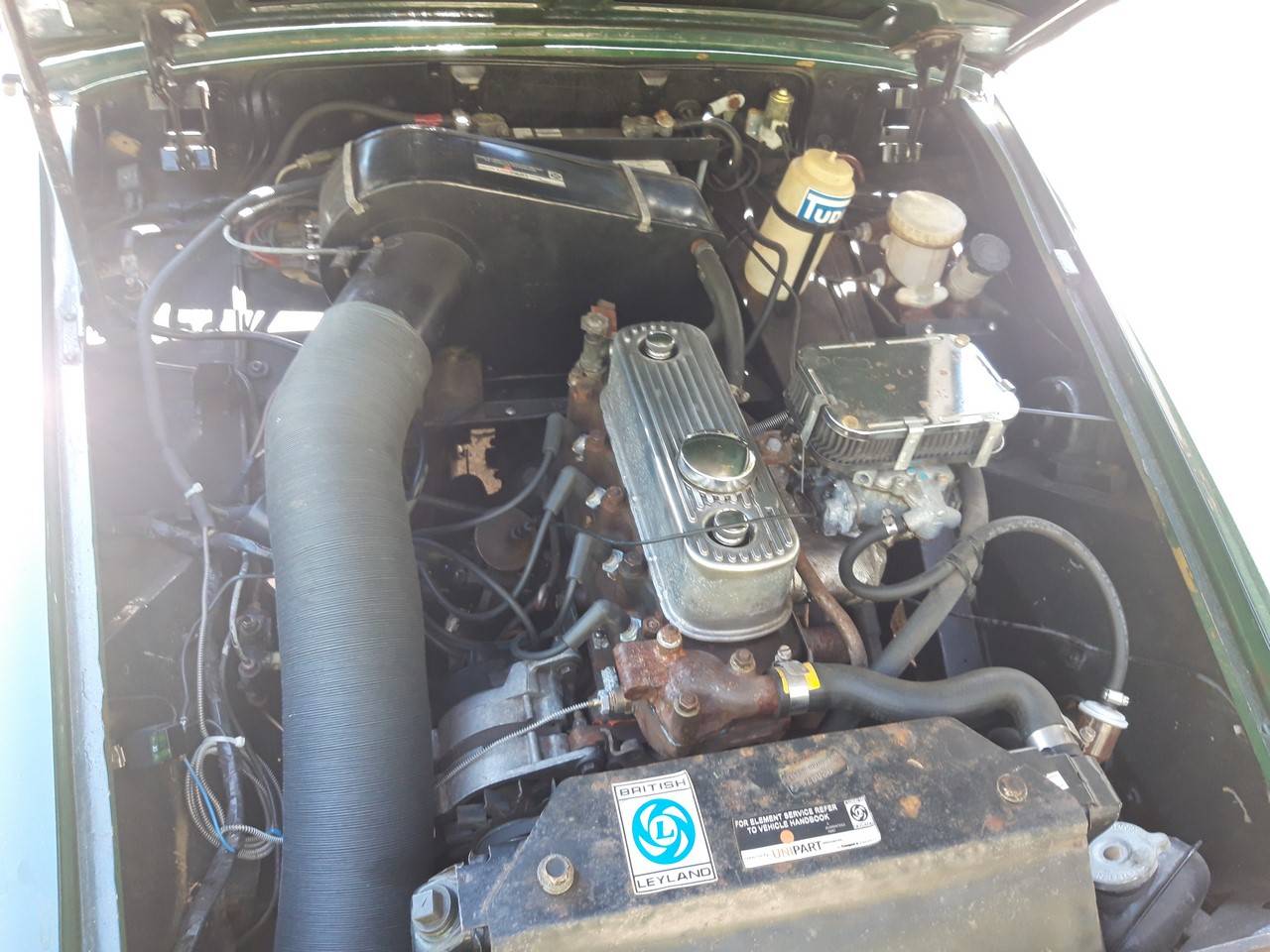 mot.jpg
