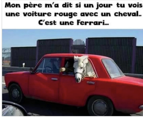 fer à riz.png