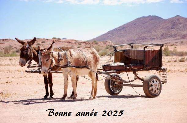 annee.JPG