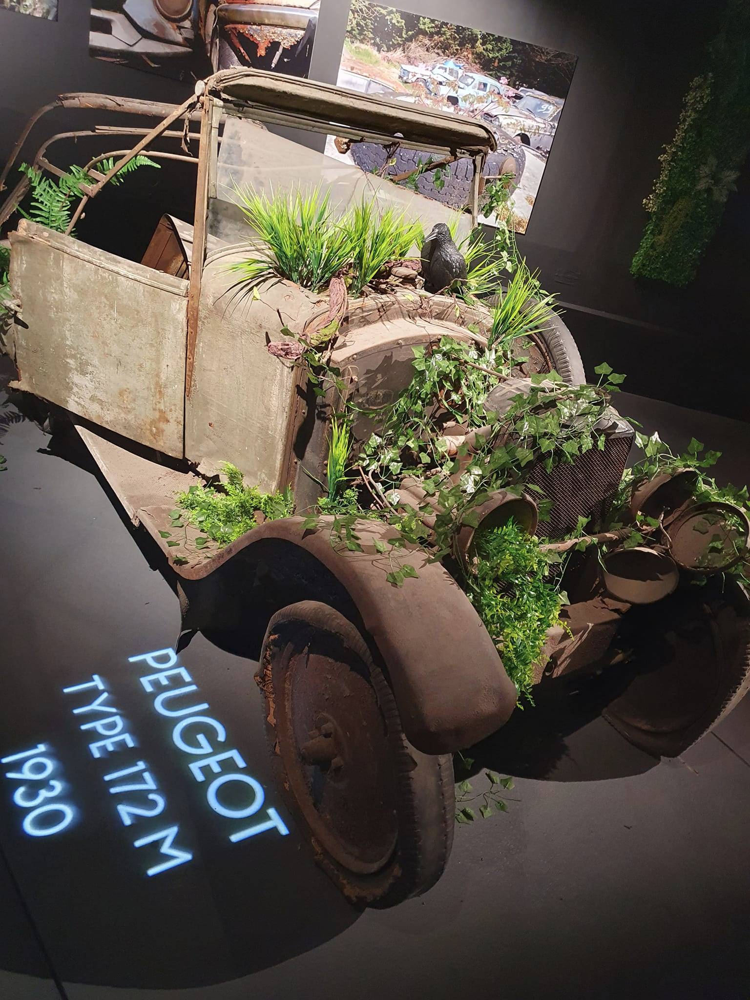 Peugeot 172M.jpg