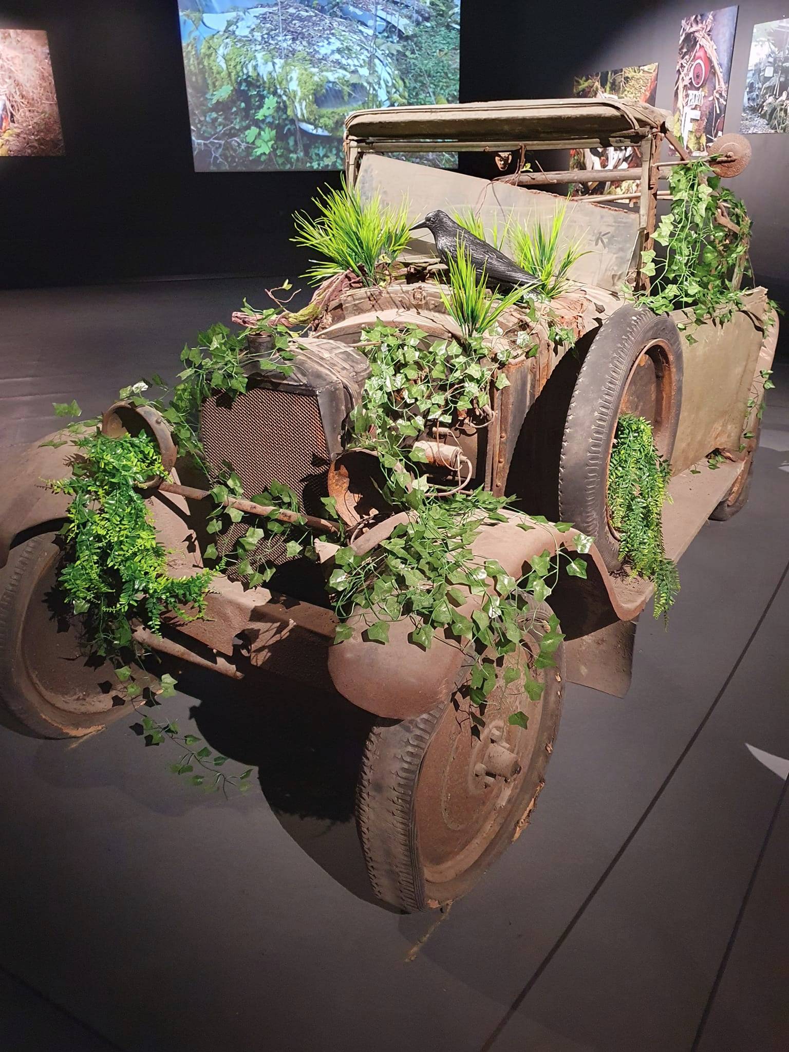 Voiture des réserves du musée.jpg
