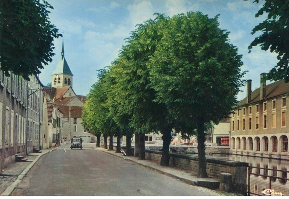 LAIGNES04.jpg