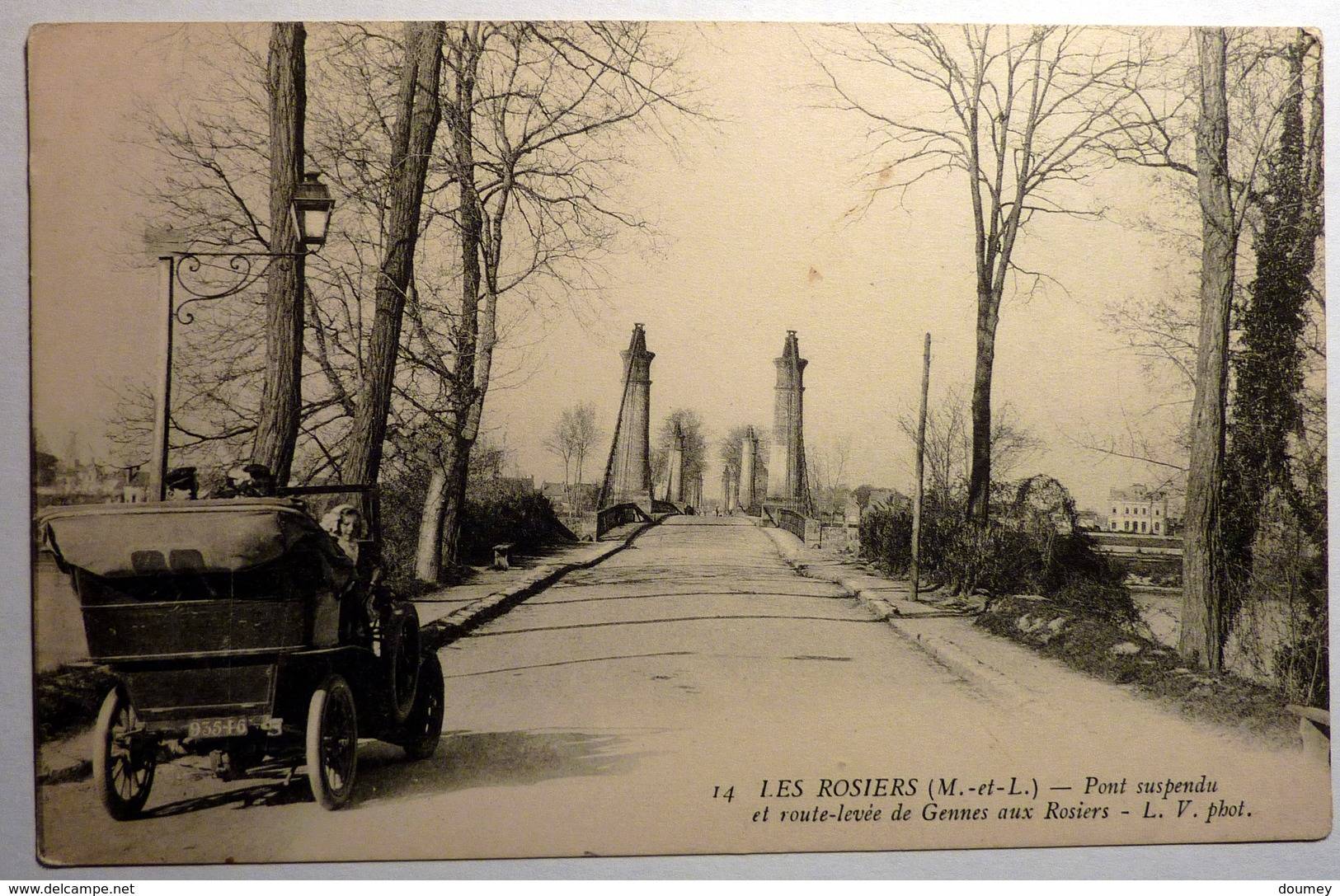 Les rosiers.jpg