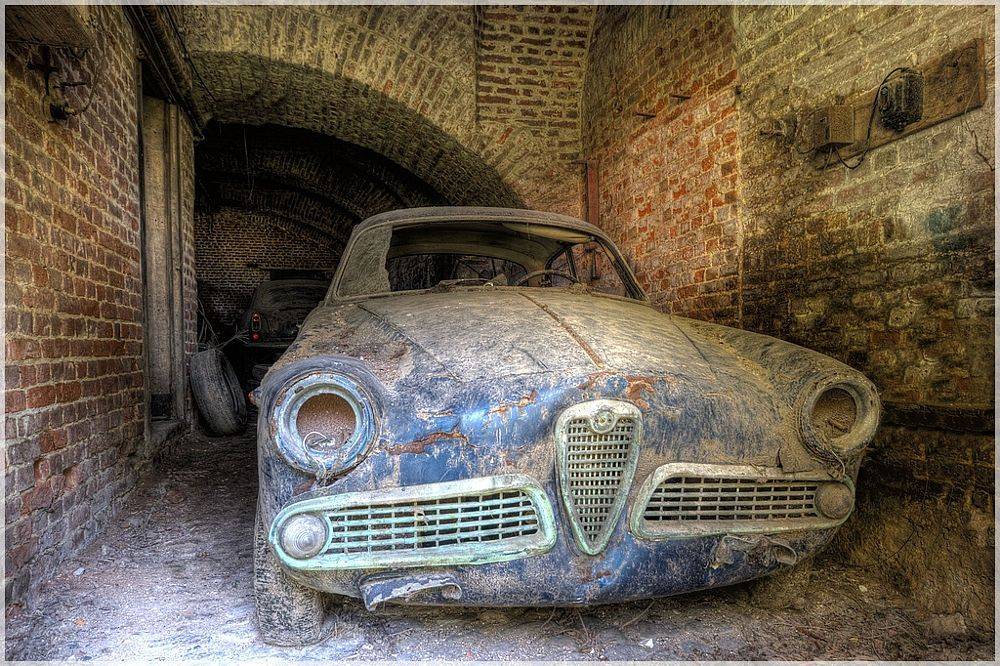 alfa.jpg