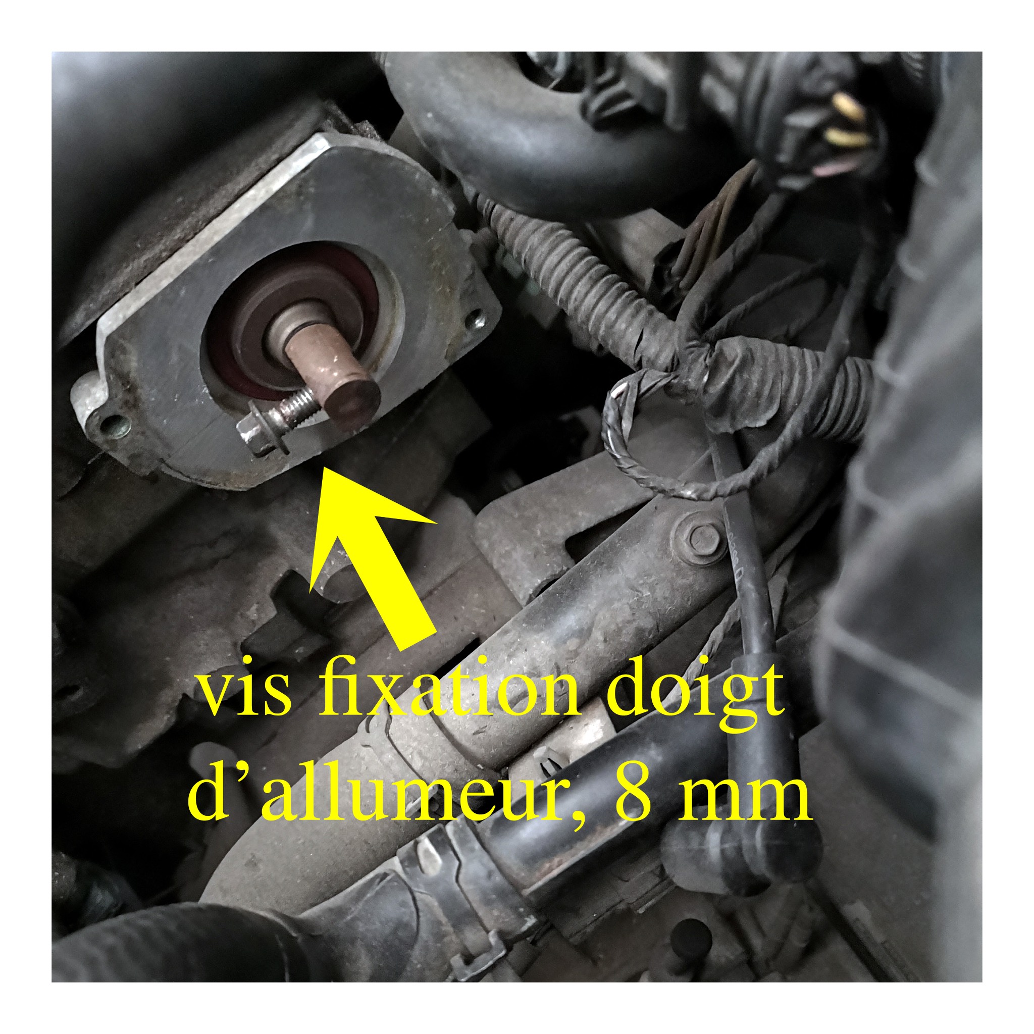 MG F tête allumeur 4.jpg