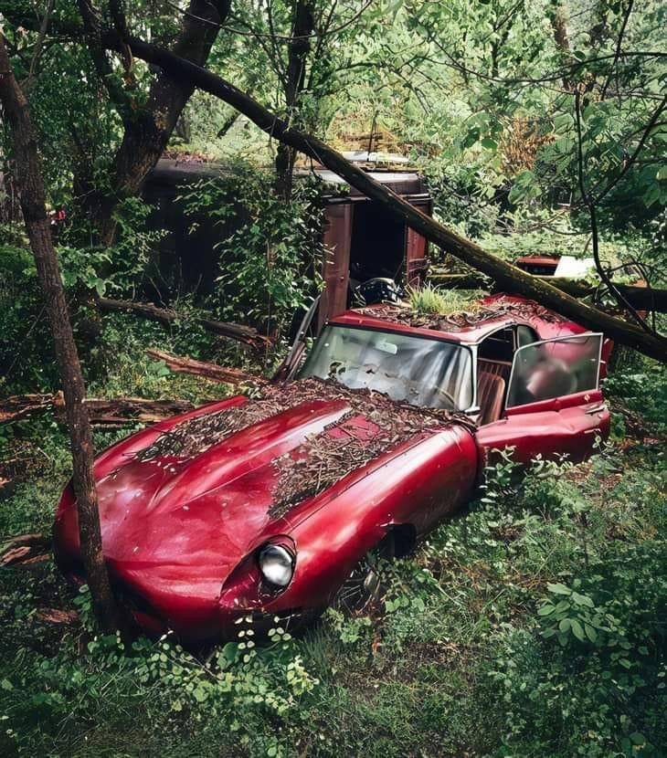 jaguar E.jpg