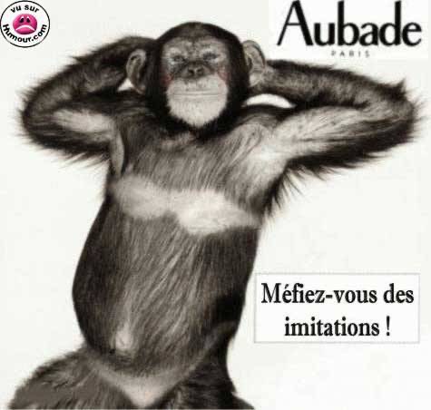 AUBADE.jpg