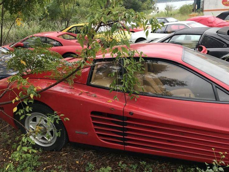 Le undici Ferrari abbandonate in un campo.jpg