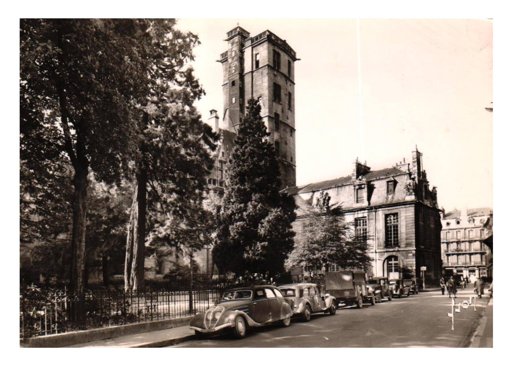 dijon00.jpg