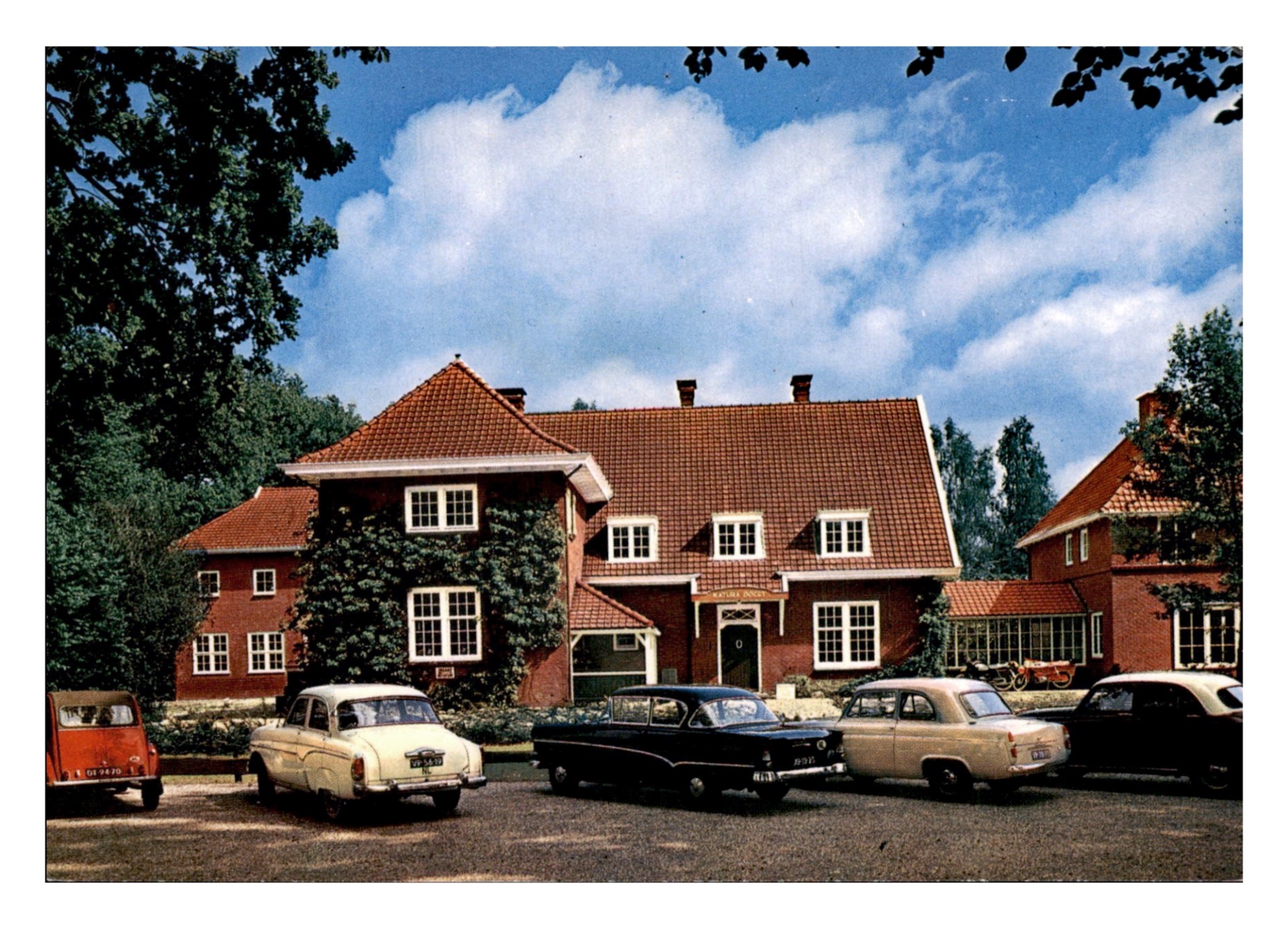 Denekamp (NL) Musée Natura Docet.jpg