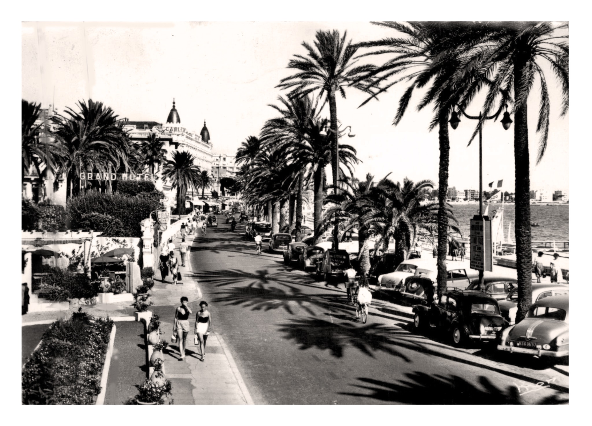 Cannes (Alpes Maritimes) , la Croisette (MAR 9811).jpg