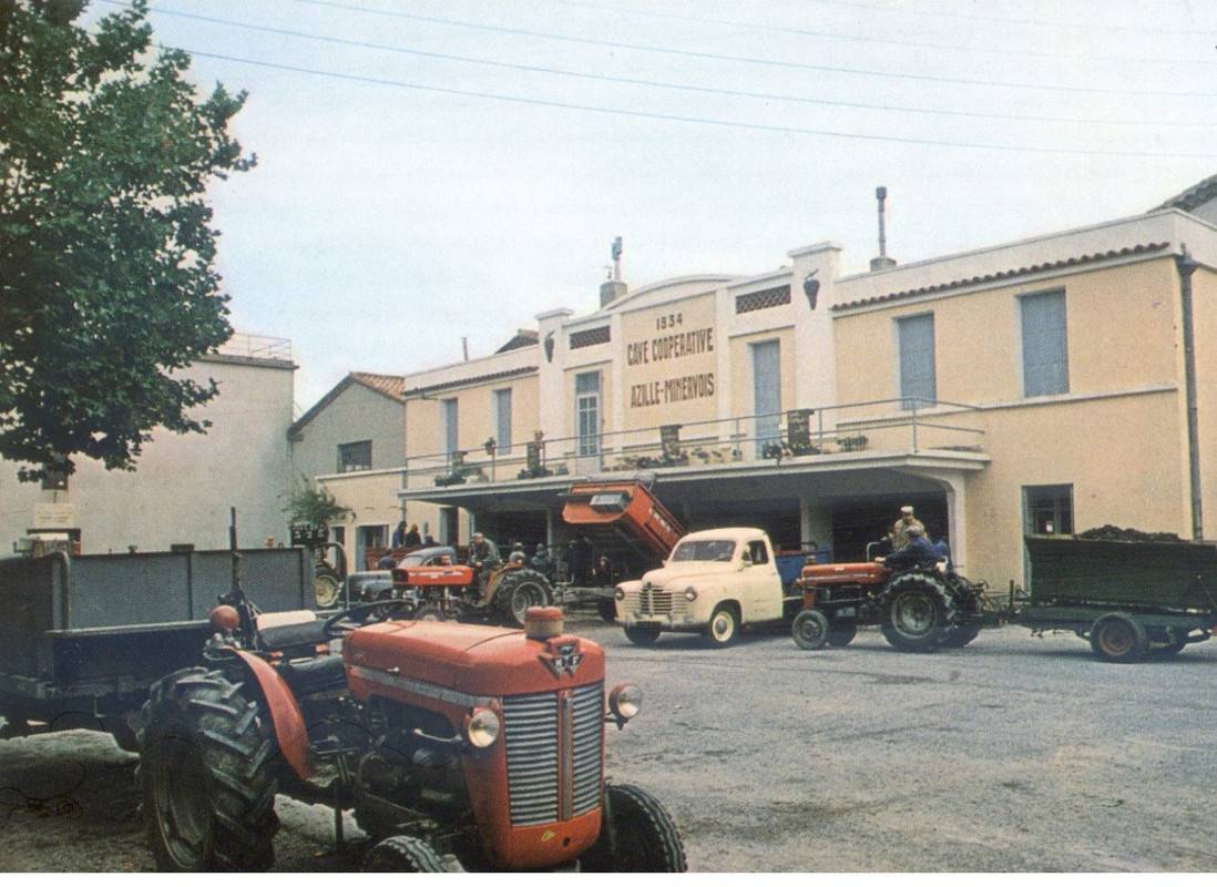 azille04.jpg