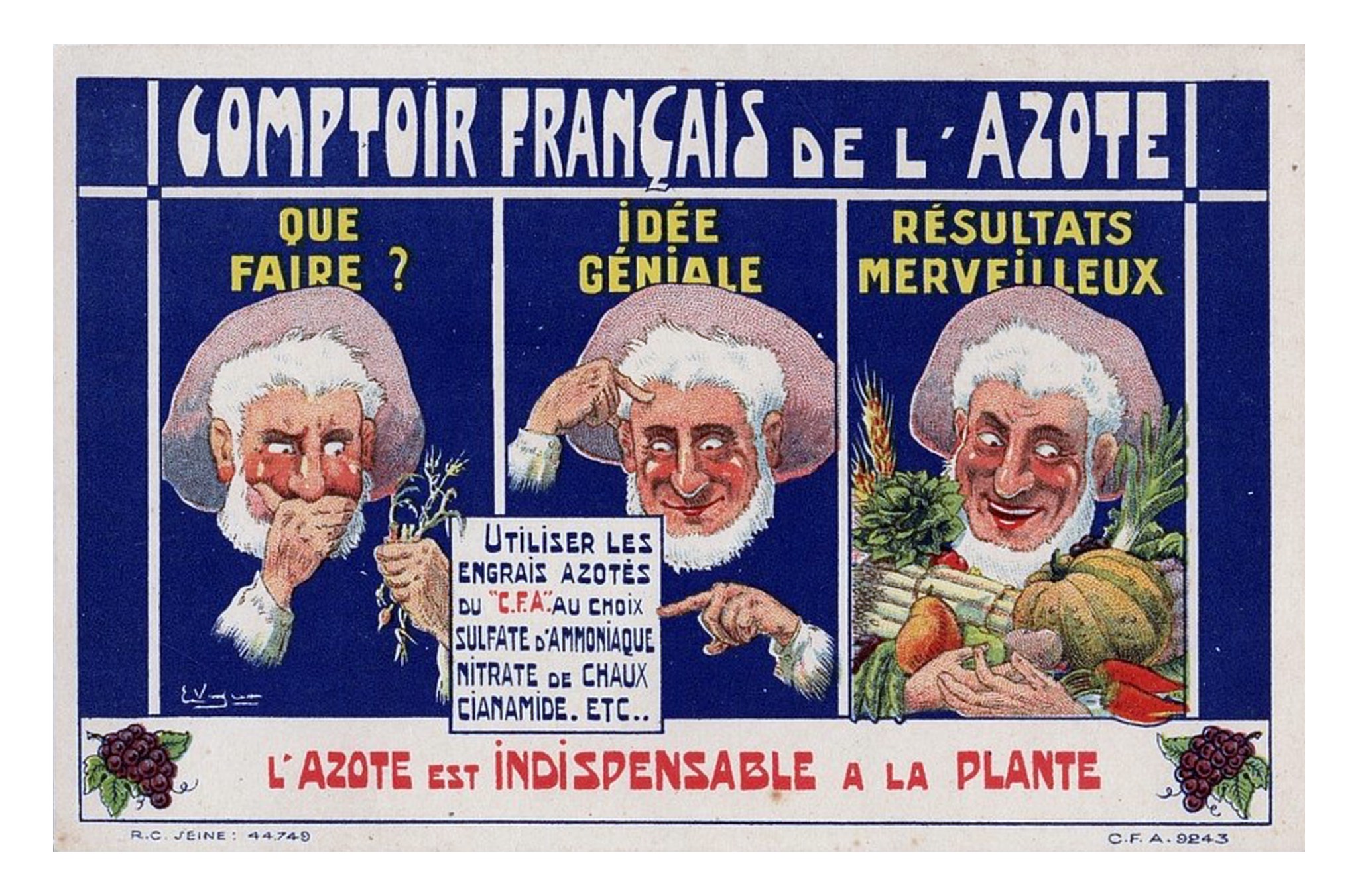 Comptoir Français de l'Azote.jpg