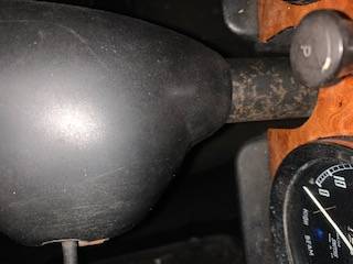 IMG_5609.jpg