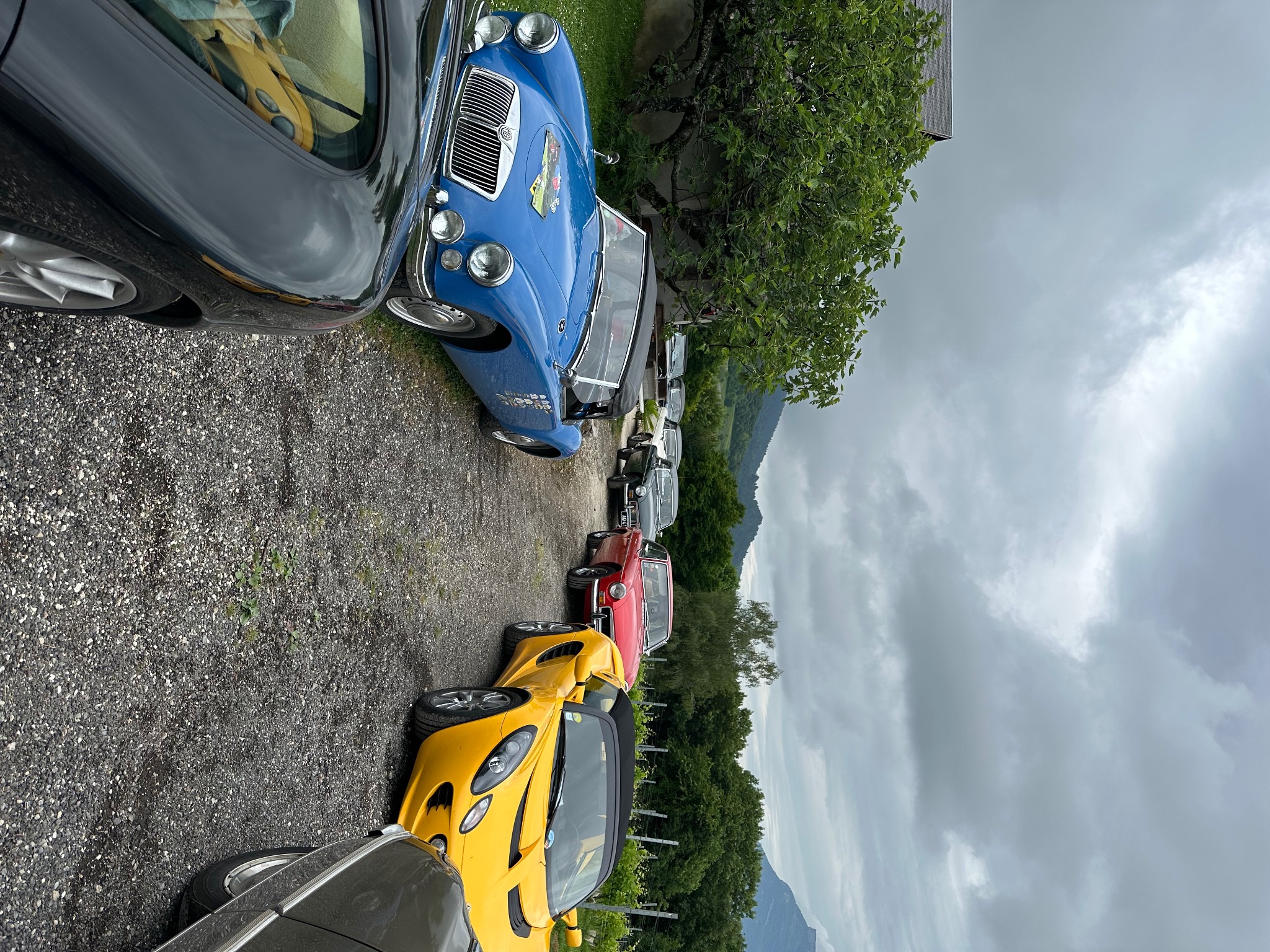 IMG_8318.jpeg