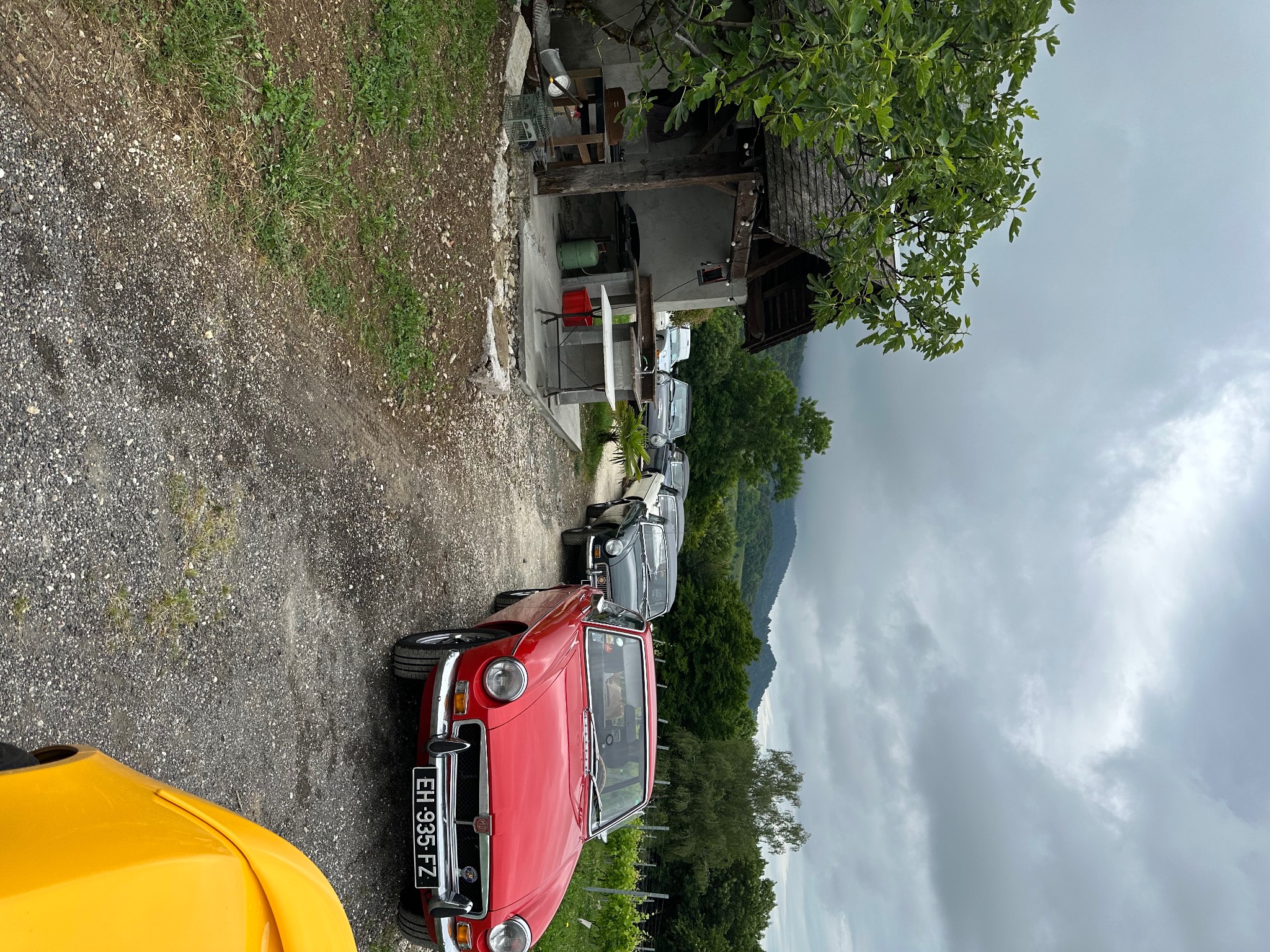 IMG_8319.jpeg
