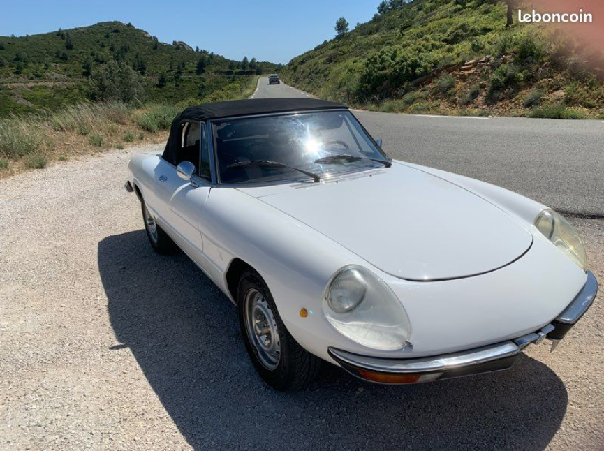Spider Alfa.png