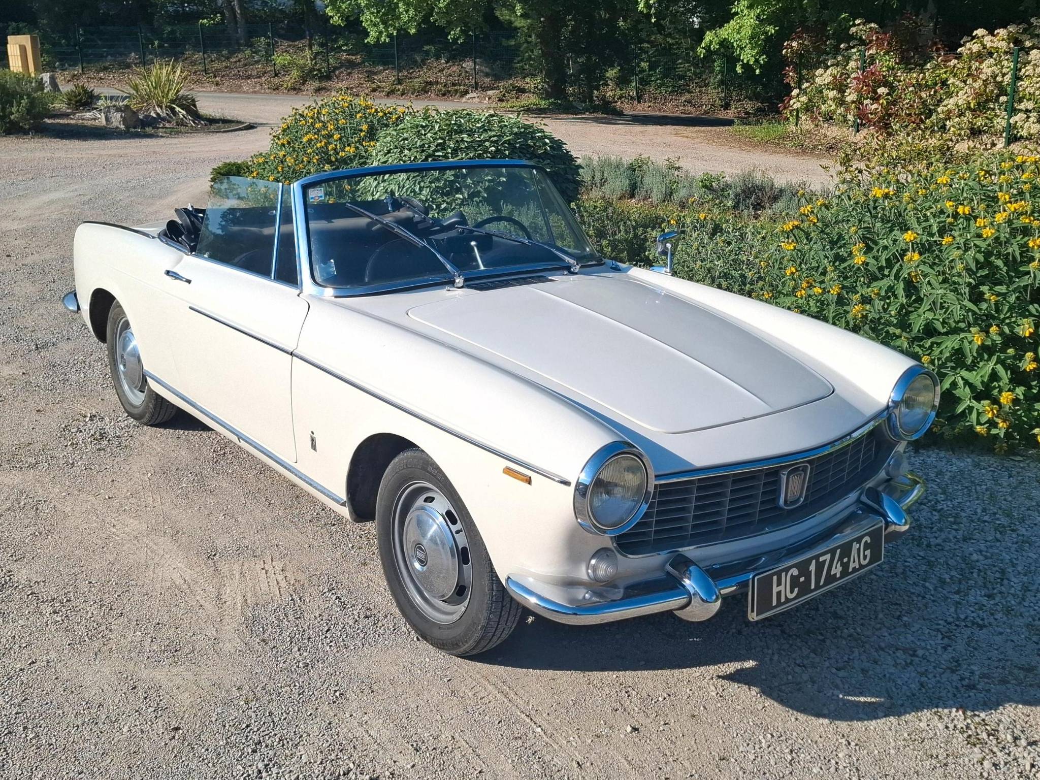 FIAT1.JPG