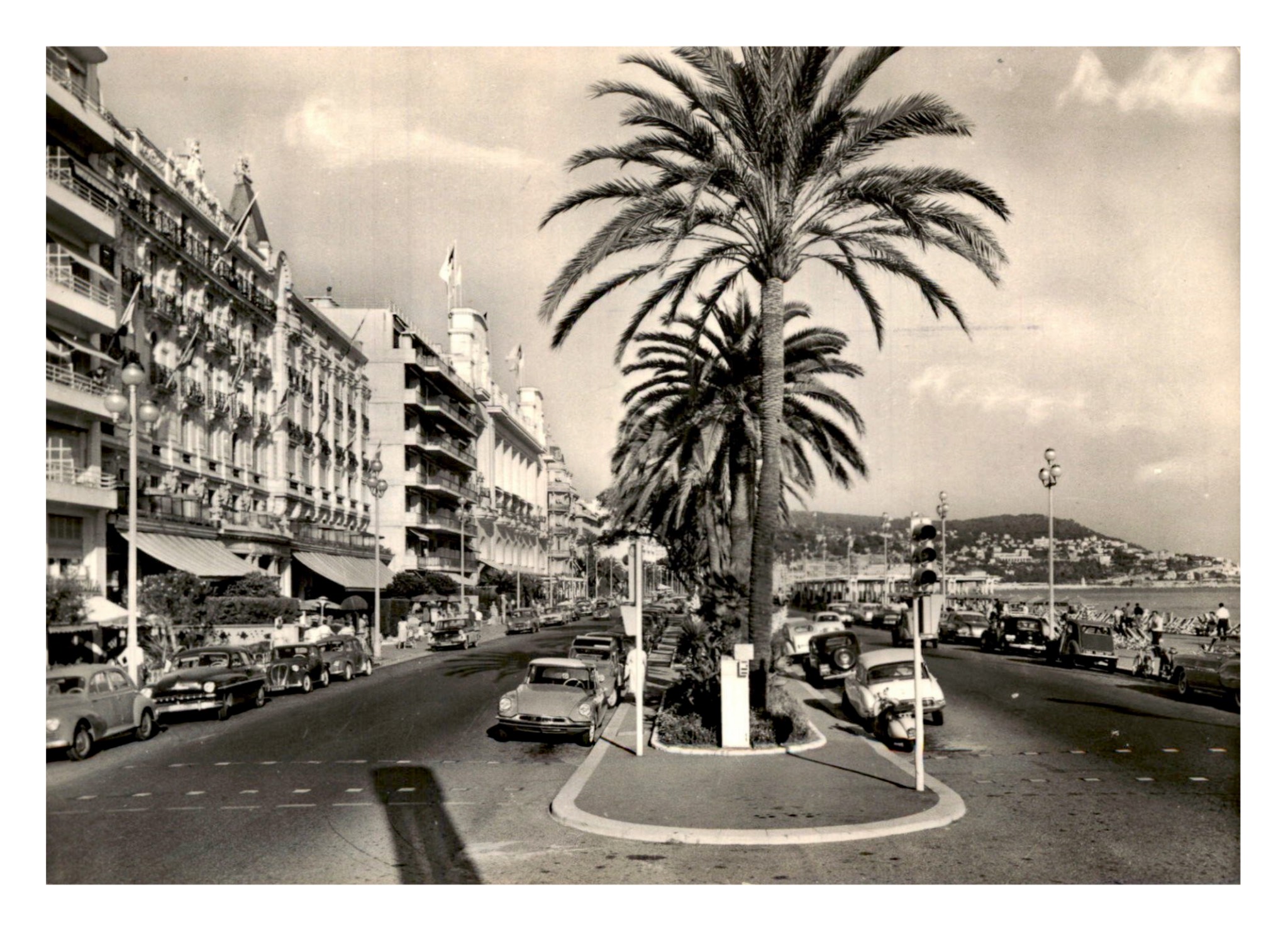 Nice, Alpes Maritimes (GIlletta 97).jpg