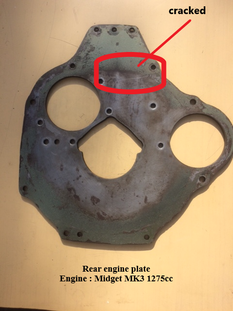 Frog-Plaque AR2-indic2.png