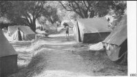 Alcudia_village_tentes_1950.png