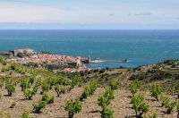 Nom du fichier=Marche_CollioureDSC_3067_DxO_015.jpg
Taille du fichier=379Ko
Dimensions : 1599x1062
Ajouté le : 03 Juillet 2017 Marche_CollioureDSC_3067_DxO_015.jpg
