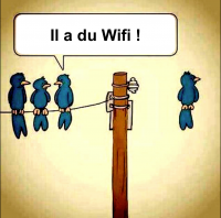 Oiseau_wifi.png