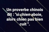 Nom du fichier=chien.jpg
Taille du fichier=26Ko
Dimensions : 520x343
Ajouté le : 15 Janvier 2021 chien.jpg