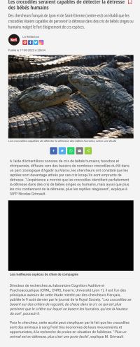 larmes_de_crocodiles.jpg