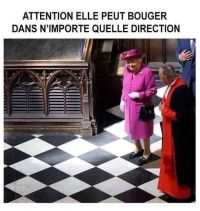 Nom du fichier=reine.jpg
Taille du fichier=56Ko
Dimensions : 510x540
Ajouté le : 16 Janvier 2021 reine.jpg