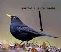 Nom du fichier=thumbnail_3da4276c-d0ed-4d0e-98e2-038703cb095f.jpg
Taille du fichier=17Ko
Dimensions : 474x411
Ajouté le : 09 Avril 2021 thumbnail_3da4276c-d0ed-4d0e-98e2-038703cb095f.jpg